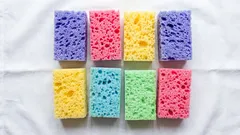 Proč je třeba dát houbičky na nádobí do mrazáku a do květináče: 10 důvodů, proč nakoupit více houbiček na nádobí