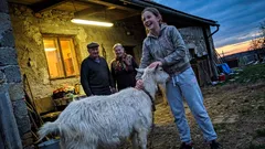 Krátká historka: Babička mě poslala za kozou s otázkou, kterou jsem nečekala