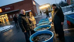 Životní historka: Jeden malý vánoční experiment, který v naší rodině změnil všechno