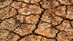 Když země řekne „dost“: známky toho, že je čas nechat záhon na pokoji