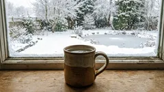 Položíme na parapet hrnek s vodou: Proč, kdo ví?