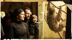 Životní historka: V zoo jsem se nečekaně poznala v jednom hodně pomalém tvorovi